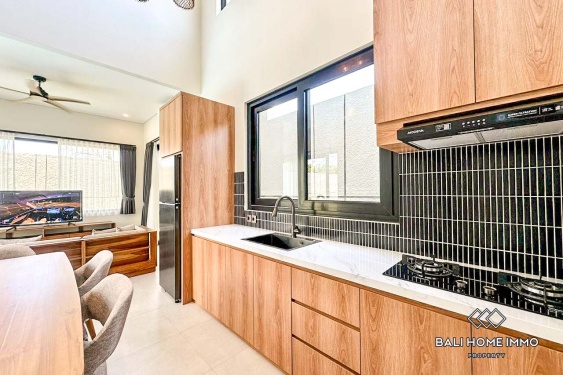 Image 6 from Villa Baru dengan 3 Kamar untuk Disewa di Kawasan Perumahan Seseh