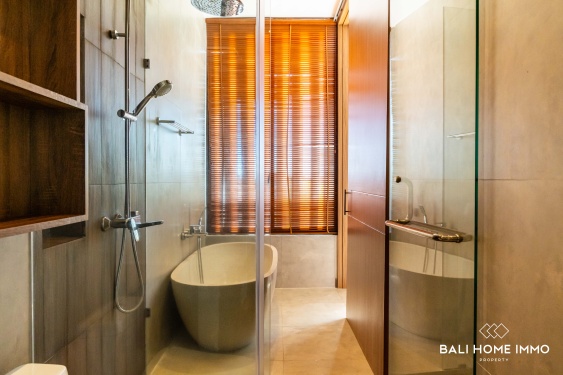 Image 10 from Brand New 3 Bedroom Villa for sale and rent in Bali Canggu