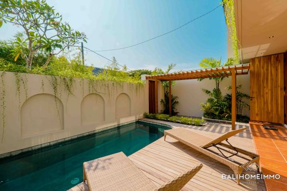Image 1 from Brand New 3 Bedroom Villa for Sale Leasehold in Bali Canggu