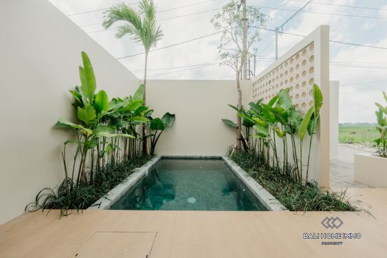 Image 2 from Dijual Villa 3 Kamar Baru dekat Pantai Kedungu