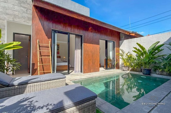 Brand new 3 Bedrooms family villa for rental in Bali Sanur