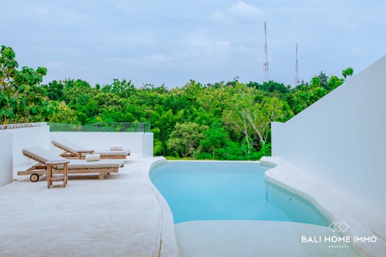 Image 3 from BRAND NEW 3 BEDROOMS VILLA FOR MONTHLY RENTAL IN BALI - PANDAWA