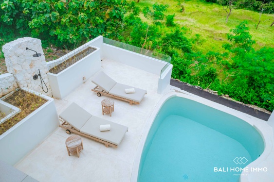 Image 4 from BRAND NEW 3 BEDROOMS VILLA FOR MONTHLY RENTAL IN BALI - PANDAWA