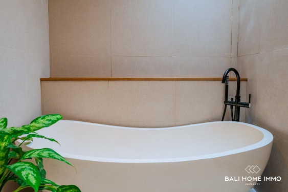 Image 17 from BRAND NEW 3 BEDROOMS VILLA FOR MONTHLY RENTAL IN BALI - PANDAWA
