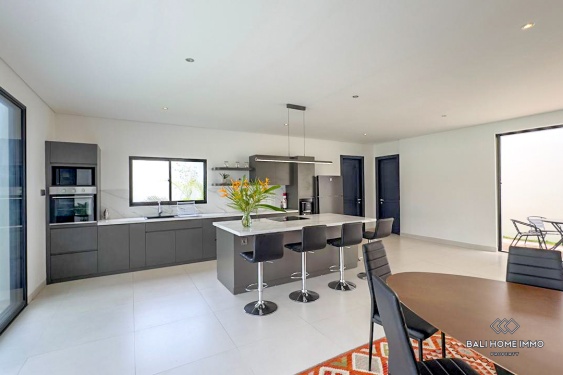 Image 8 from Brand new 3 Bedrooms villa for rentals in Bali Seminyak residential side