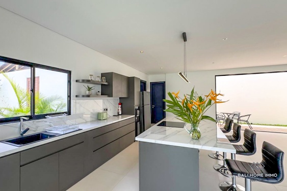 Image 9 from Brand new 3 Bedrooms villa for rentals in Bali Seminyak residential side