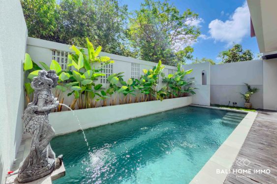 Image 3 from BRAND NEW 3 BEDROOMS VILLA WITH OCEAN VIEW FOR SALE IN UNGASAN