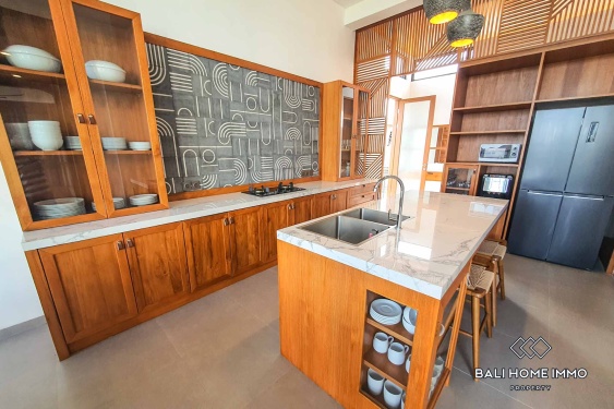 Image 7 from Villa Modern 4 Kamar Tidur Baru untuk Disewakan di Canggu Berawa