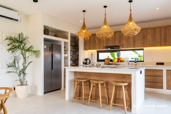 Image 9 from Brand New 4 Bedroom Villa for Sale Leasehold in Bali Near Seseh Beach