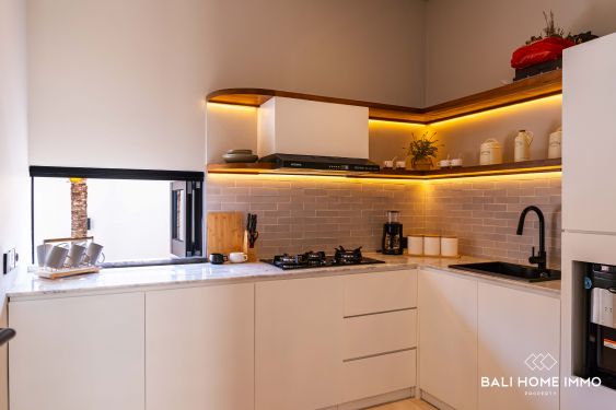 Image 12 from Brand New 4 bedroom Villa for sale leasehold in Bali - Pererenan