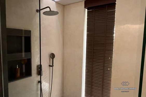 Image 11 from Brand new 5 Bedroom Modern Villa for Sale in Batu Mejan Canggu
