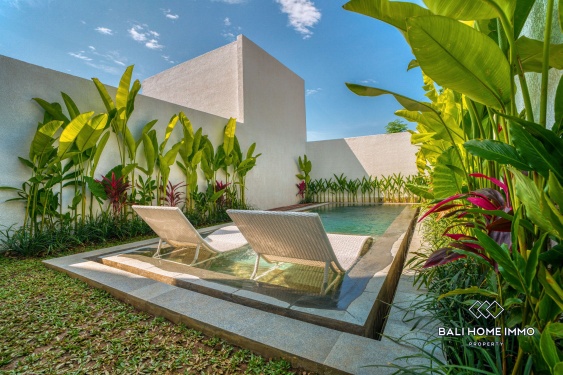 Image 2 from Brand New Beautiful 2 Bedroom Tropical Villa for Sale Near Green Bowl Beach