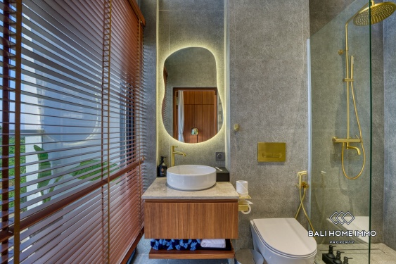 Image 18 from Brand New Beautiful 2 Bedroom Tropical Villa for Sale Near Green Bowl Beach