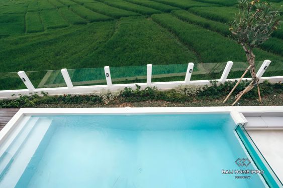 Image 19 from Villa baru Cantik 3 Kamar Disewakan di Bali Canggu