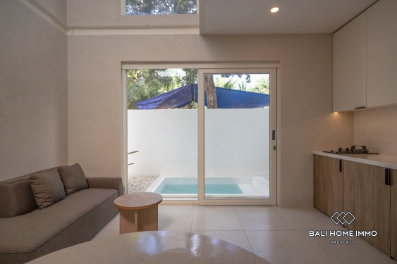 Image 4 from Villa neuve et confortable d'une chambre à vendre près de la plage de Balangan