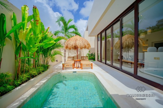 Brand New Cozy 1 Bedroom Villas for Sale Leasehold in Bingin
