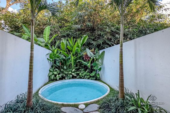 Image 2 from Brand new loft villa with jungle view for sale and rent in Canggu Babakan