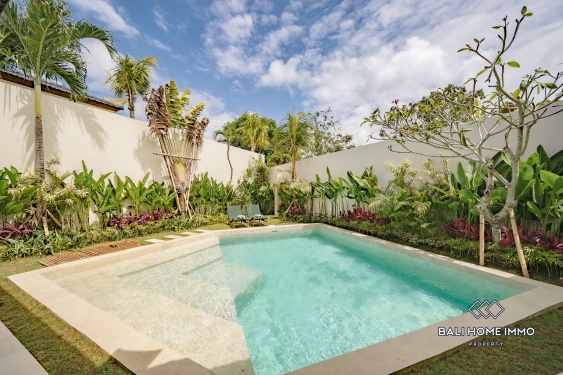 Image 4 from Villa tropicale neuve et impeccable de 2 chambres à vendre près de la plage de Balangan