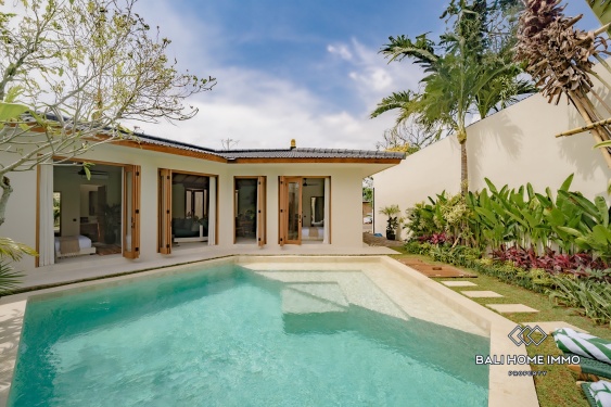 Image 2 from Villa tropicale neuve et impeccable de 2 chambres à vendre près de la plage de Balangan