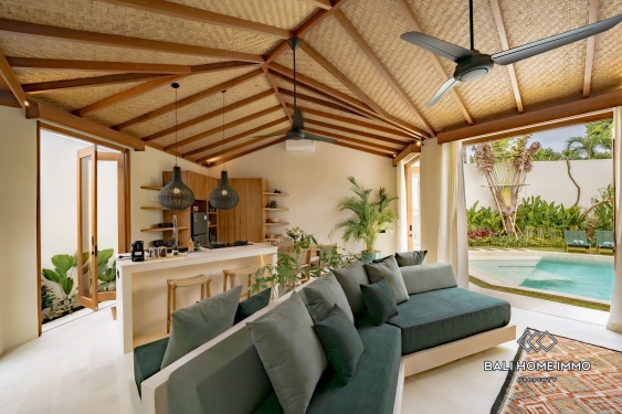 Image 7 from Villa tropicale neuve et impeccable de 2 chambres à vendre près de la plage de Balangan