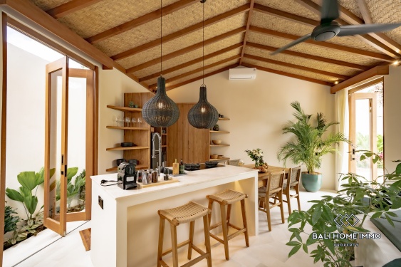 Image 18 from Villa tropicale neuve et impeccable de 2 chambres à vendre près de la plage de Balangan