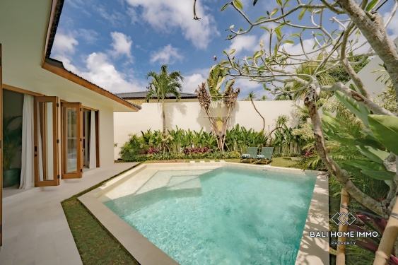 Image 3 from Villa tropicale neuve et impeccable de 2 chambres à vendre près de la plage de Balangan