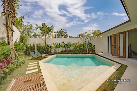 Image 1 from Villa tropicale neuve et impeccable de 2 chambres à vendre près de la plage de Balangan