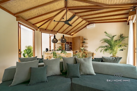 Image 9 from Villa tropicale neuve et impeccable de 2 chambres à vendre près de la plage de Balangan