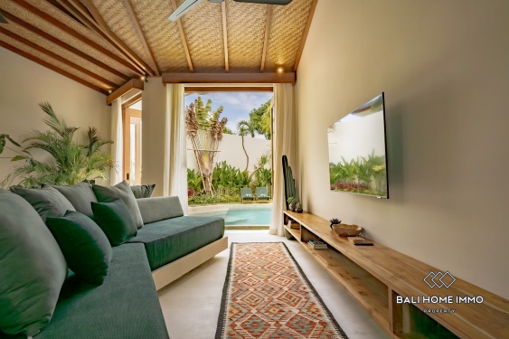 Image 8 from Villa tropicale neuve et impeccable de 2 chambres à vendre près de la plage de Balangan