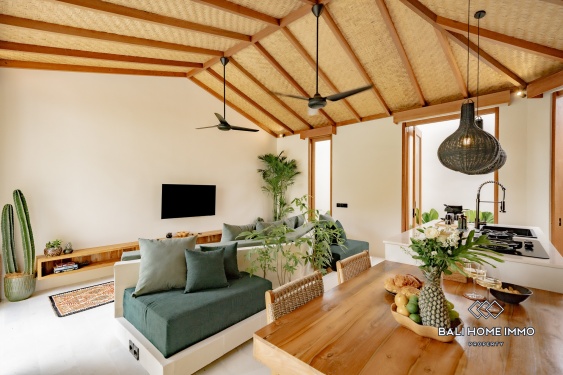 Image 14 from Villa tropicale neuve et impeccable de 2 chambres à vendre près de la plage de Balangan