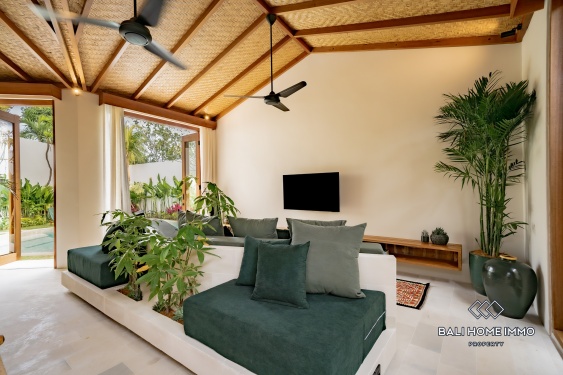 Image 11 from Villa tropicale neuve et impeccable de 2 chambres à vendre près de la plage de Balangan