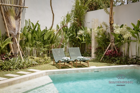 Image 5 from Villa tropicale neuve et impeccable de 2 chambres à vendre près de la plage de Balangan