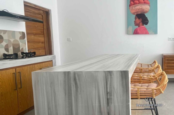 Image 2 from Brand new modern 1 bedroom Villa for Sale in Bali Nusa Penida