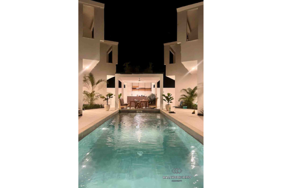 Image 3 from Brand new modern 1 bedroom Villa for Sale in Bali Nusa Penida