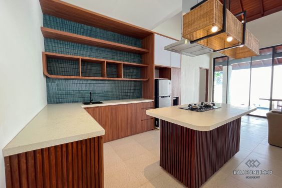 Image 5 from Brand New Semi Furnished 2 Bedroom Villa for Rent in Seminyak's Residential Area