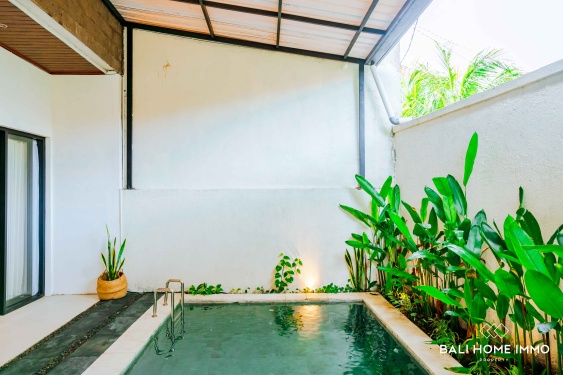 Image 4 from BRAND NEW SPACIOUS 1 BEDROOM VILLA FOR SALE LEASEHOLD IN BALI JIMBARAN