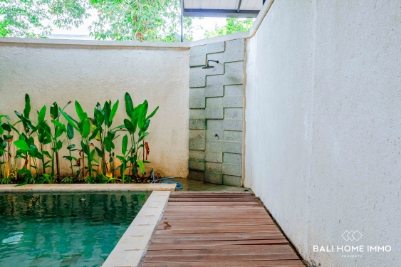 Image 5 from BRAND NEW SPACIOUS 1 BEDROOM VILLA FOR SALE LEASEHOLD IN BALI JIMBARAN
