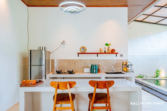 Image 10 from BRAND NEW SPACIOUS 1 BEDROOM VILLA FOR SALE LEASEHOLD IN BALI JIMBARAN