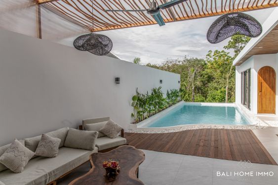 Image 4 from Brand new 2 Bedroom villa for sale leasehold in Bali Uluwatu