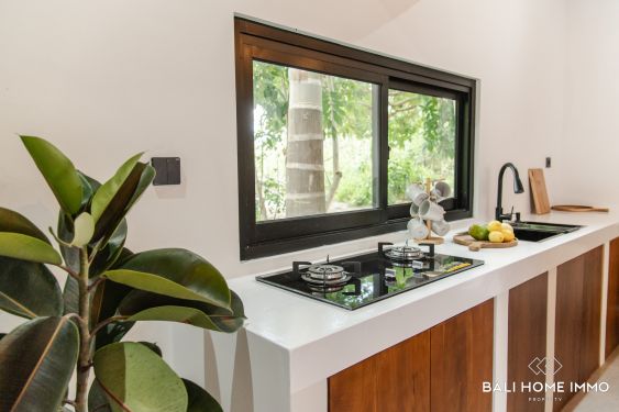Image 10 from Brand new 2 Bedroom villa for sale leasehold in Bali Uluwatu