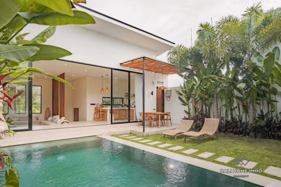 Image 1 from BRIGHT MODERN TROPICAL 2-BEDROOM VILLA FOR RENT IN UNGASAN