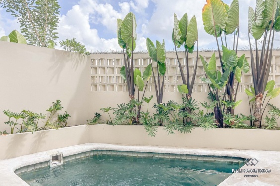 Image 16 from Charming 1 Bedroom private villa for sale leasehold in Bali Canggu