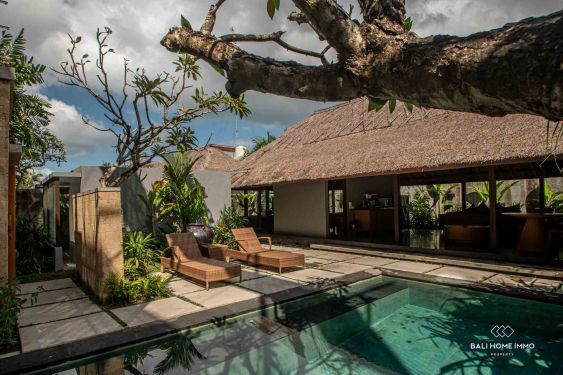 Image 1 from Charming 1 Bedroom Villa for Monthly Rental in Bali Petitenget