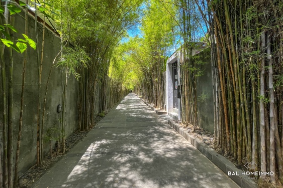 Image 12 from Charming 1 Bedroom Villa for Rent in Seminyak Bali