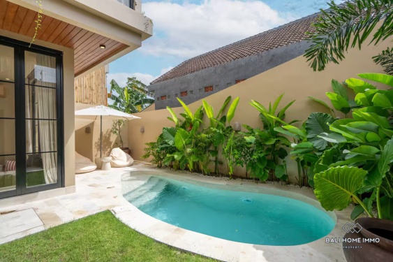 Image 17 from Vila 2 Kamar yang Menawan untuk Disewa di Pererenan, Bali, Sisi Utara