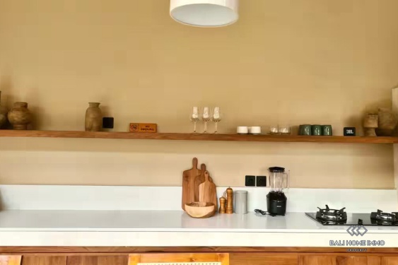 Image 12 from Vila 2 Kamar yang Menawan untuk Disewa di Pererenan, Bali, Sisi Utara