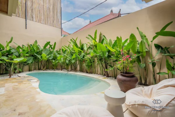 Image 18 from Vila 2 Kamar yang Menawan untuk Disewa di Pererenan, Bali, Sisi Utara