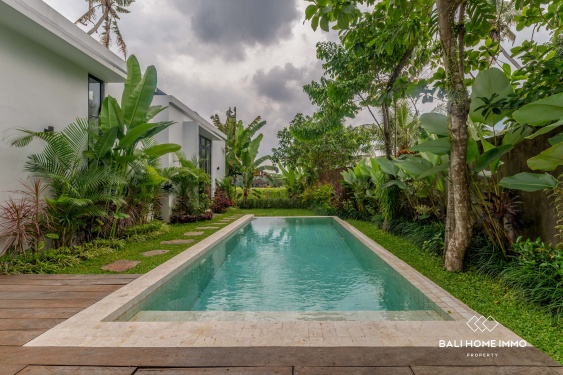 Image 10 from Charming 2 bedroom villa for sale and rent in Ubud