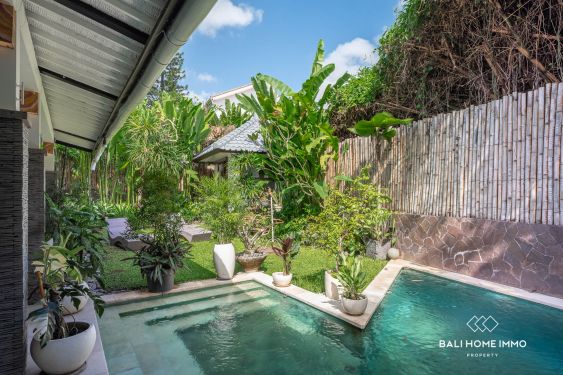 Image 12 from Disewakan Vila 2 Kamar Menawan di Batu Bolong Canggu