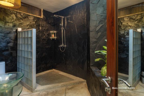 Image 10 from Disewakan Vila 2 Kamar Menawan di Batu Bolong Canggu